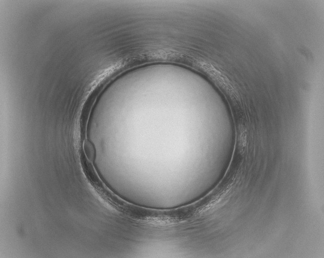 X0000116420630200912221446