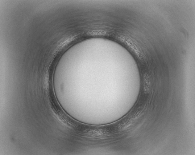 X0000116420631200912221446