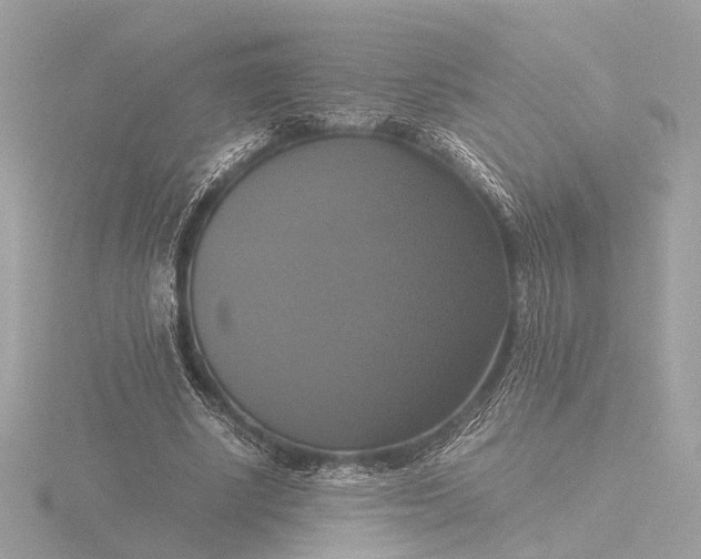 X0000116420634200912221446