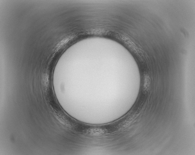 X0000116420636200912221446