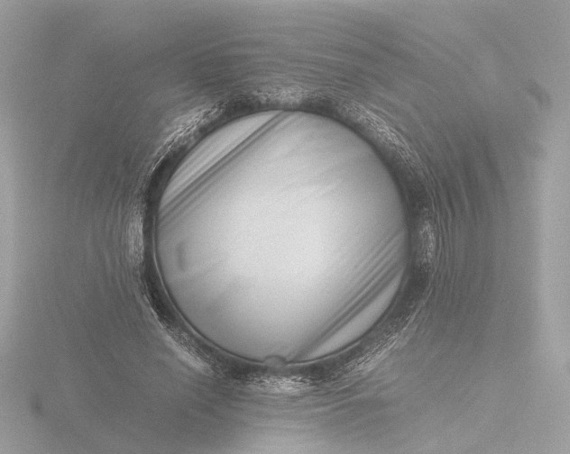 X0000116420638200912221446