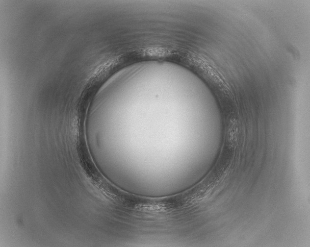 X0000116420639200912221446
