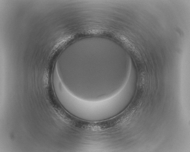 X0000116420640200912221446