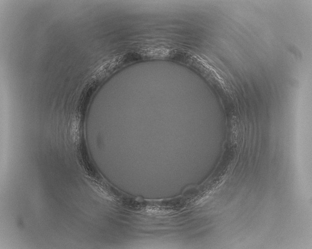 X0000116420641200912221446