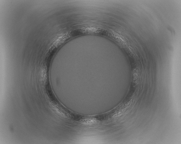 X0000116420642200912221446