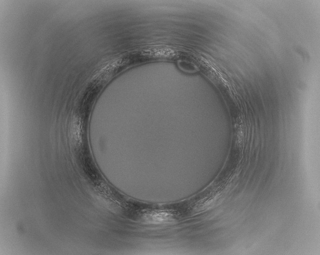 X0000116420643200912221446