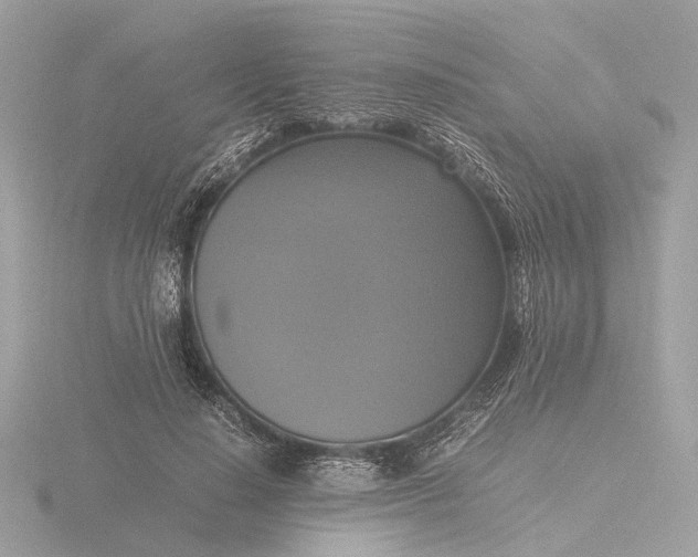 X0000116420644200912221446