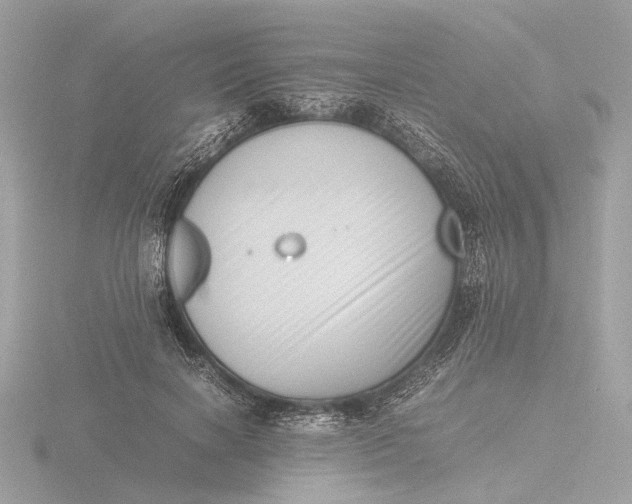 X0000116420646200912221446