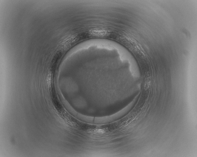 X0000116420647200912221446