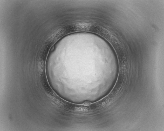 X0000116420649200912221446