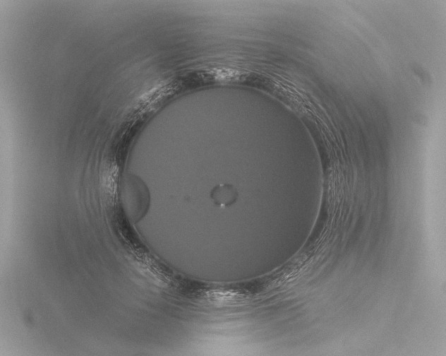 X0000116420650200912221446