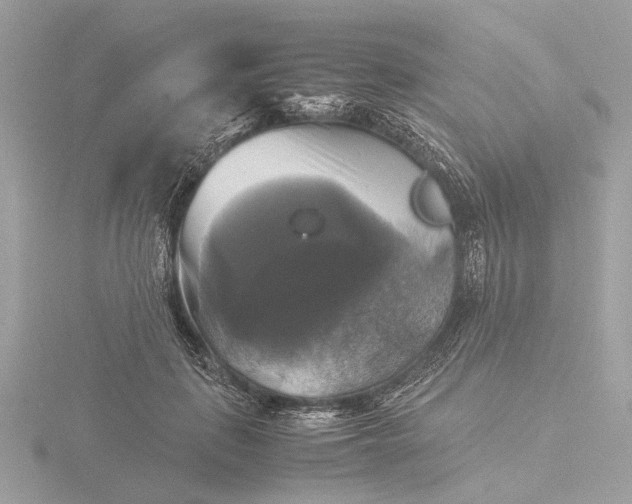 X0000116420651200912221446