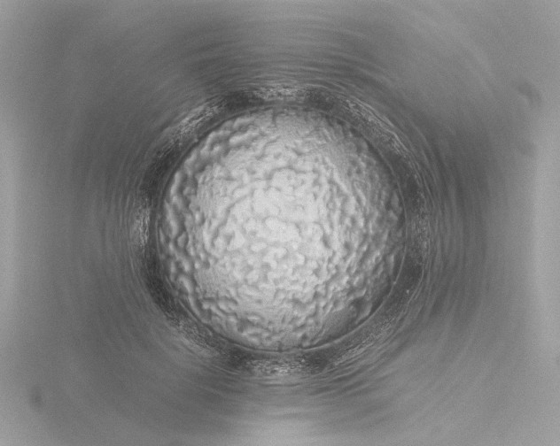 X0000116420652200912221446