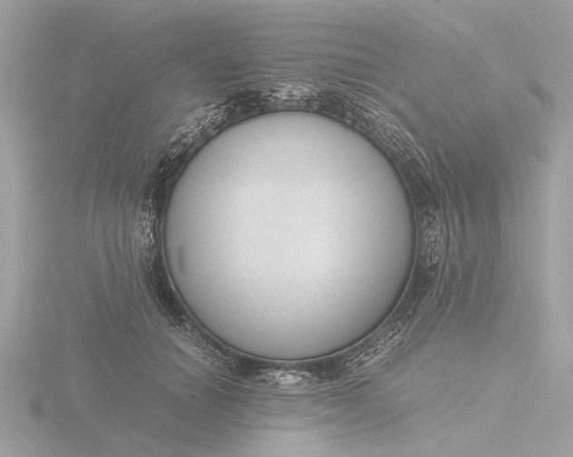 X0000116420654200912221446