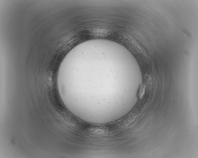 X0000116420655200912221446
