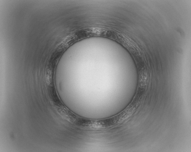 X0000116420656200912221446