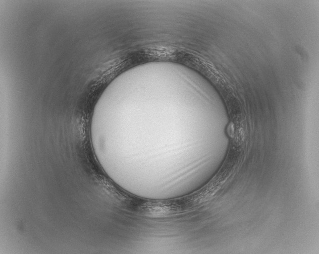 X0000116420658200912221446