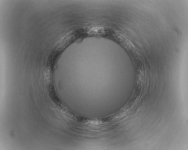 X0000116420659200912221446