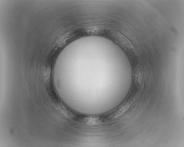 X0000116420660200912221446
