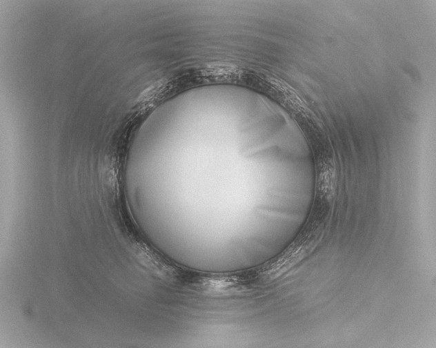 X0000116420662200912221446
