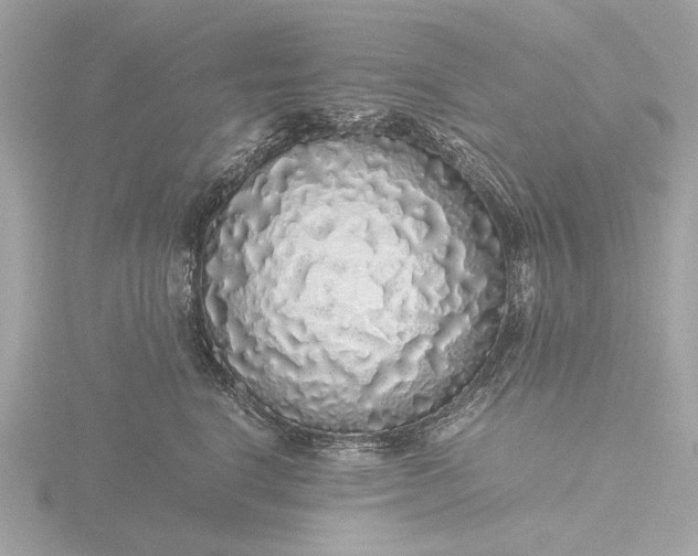 X0000116420664200912221446