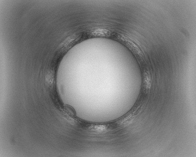 X0000116420665200912221446