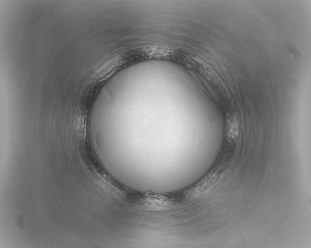 X0000116420666200912221446
