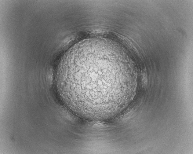 X0000116420668200912221446