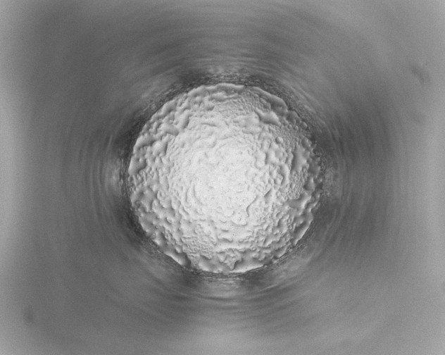 X0000116420671200912221446