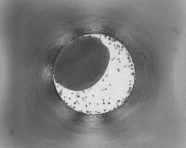 X0000116420672200912221446