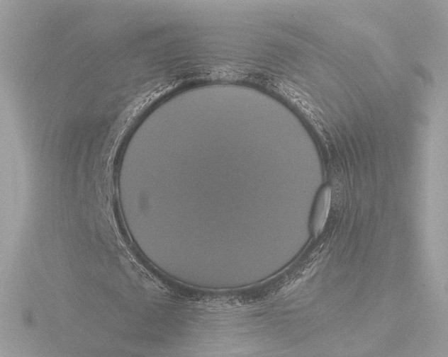 X0000116420673200912221446