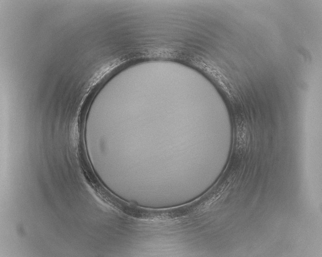 X0000116420674200912221446