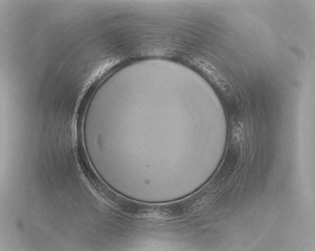 X0000116420678200912221446