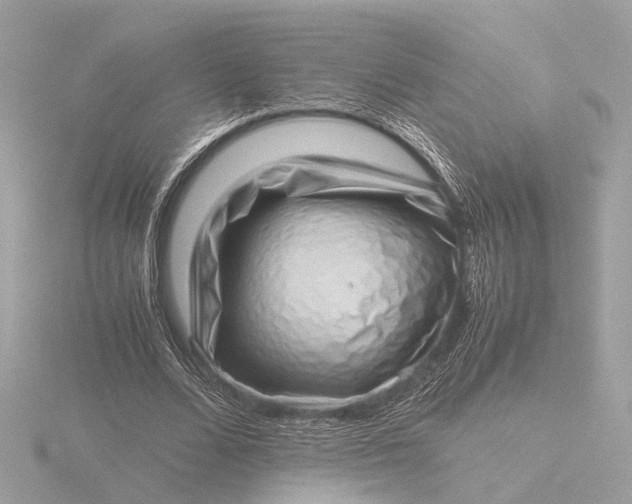 X0000116420680200912221446