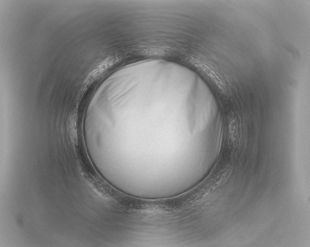 X0000116420682200912221446