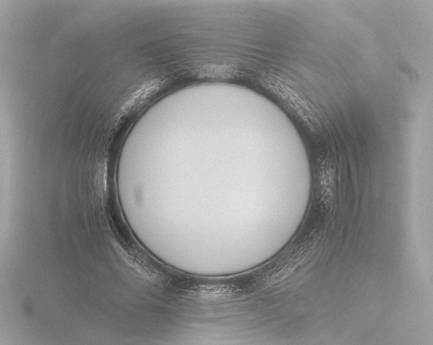 X0000116420686200912221446