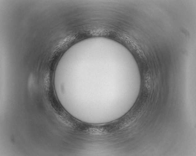 X0000116420690200912221446