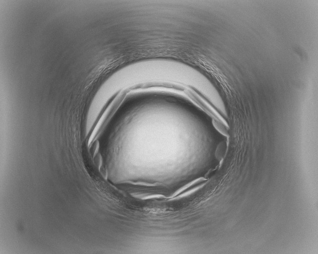 X0000116420693200912221446