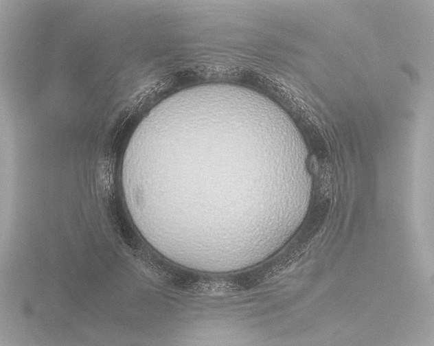 X0000116420695200912221446