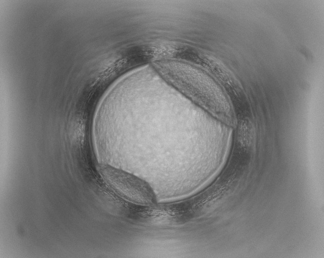 X0000116420697200912221446