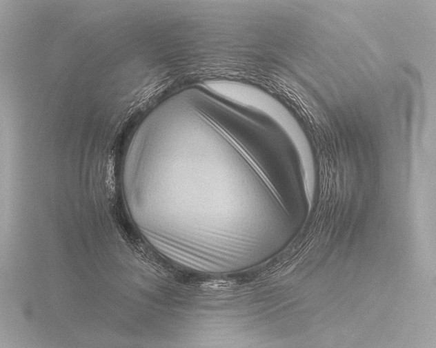 X0000116420700200912221446
