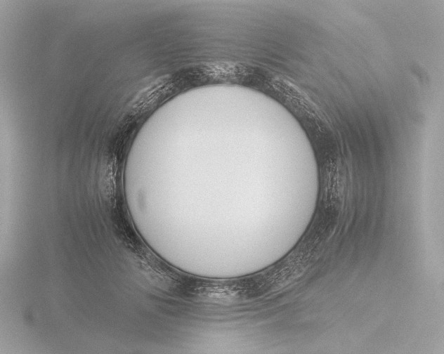 X0000116420702200912221446