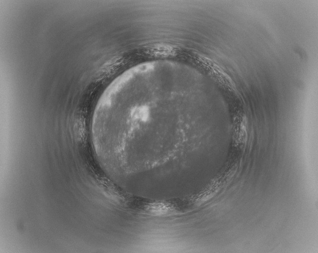 X0000116420704200912221445
