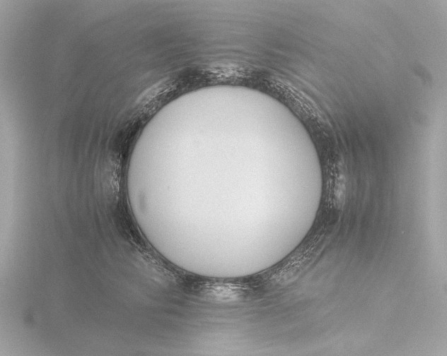 X0000116420710200912221445