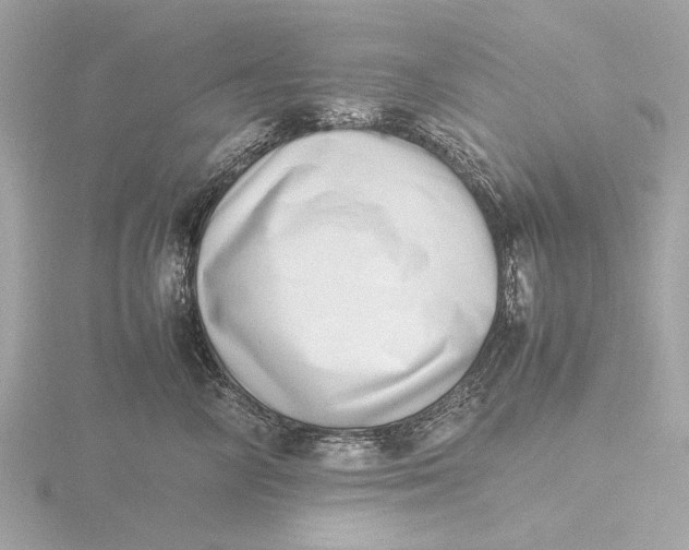 X0000116420714200912221445