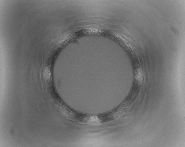 X0000116420715200912221445