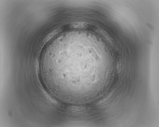 X0000116420725200912221445