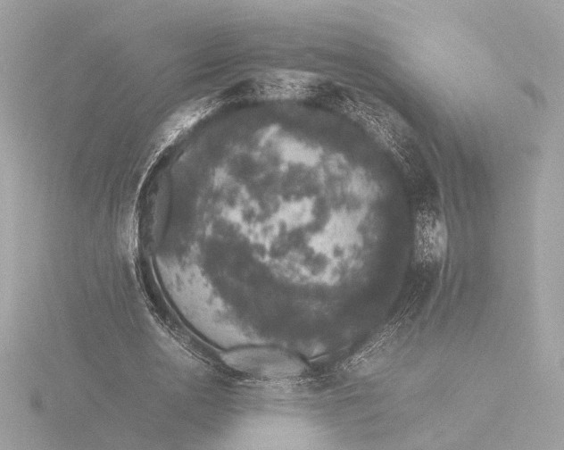 X0000116420726200912221445