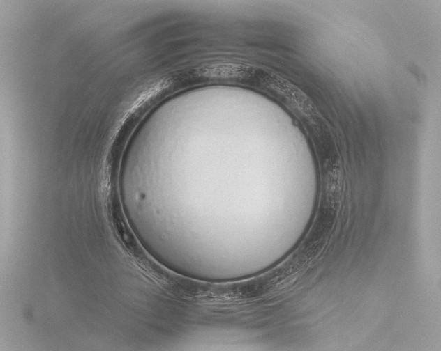 X0000116420727200912221445