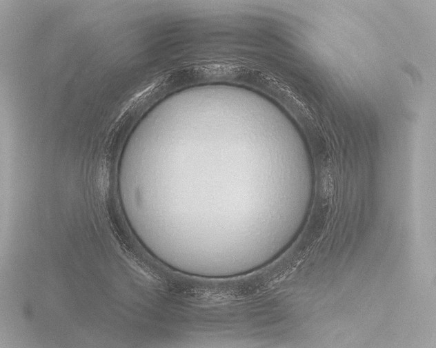 X0000116420733200912221445